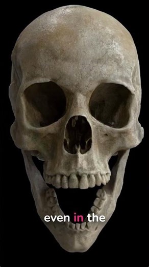 Students Dug Up 'Trash Lids' That Were Viking Shields