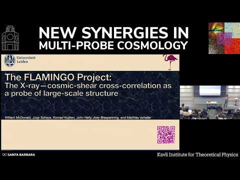 The FLAMINGO Project: Exploring the X-ray-Cosmic Shear Cross-... | William McDonald (Leiden U)