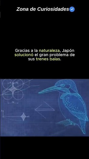 Un pájaro resolvió el mayor problema de Japón