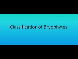 Classification of Bryophytes | For B.Sc. and M.Sc.