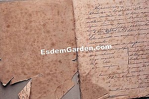 Aloe Espiral De Lesotho, Aloe Polyphylla: Plantar, Cultivar 🌿 Todo Sobre Jardinería Y Diseño De Jardines - 2025