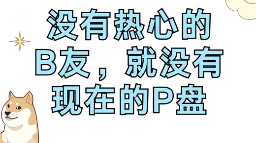 没有热心的B友，就没有现在的P盘