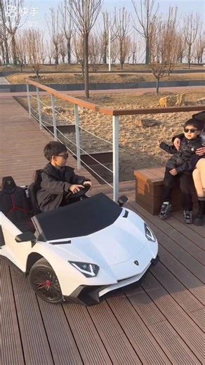 Best Remote Control Lamborghini RC Car 🚗 #rccars #lamborghini #rccar #shorts #rc