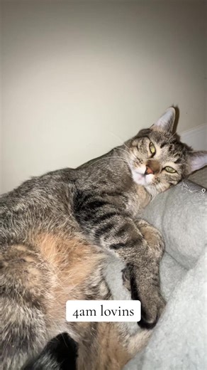 Chandler Durango (@chandlerdurango)’s video of 4am melanie fiona