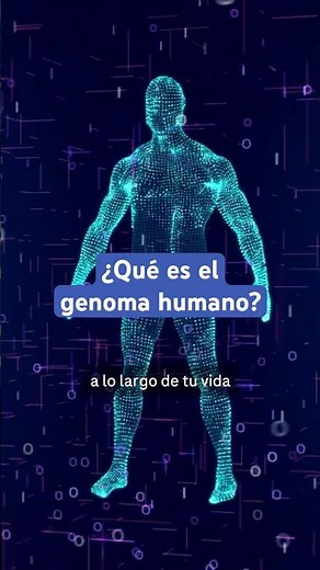 The Human Genome Explained Easily! Surprise yourself!