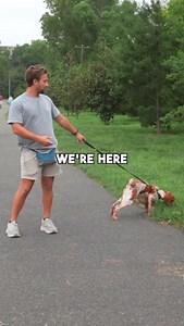 Follow for more ✅ - Do you want the best slip lead? I spent months developing the perfect slip lead, including a spring loaded stopper and pure braided nylon that does not stretch. Purchase your NCA Slip Lead today with the link in my bio. Due to high demand, I am often backordered several weeks, so order yours today! - Curious about the leash I use in all of my videos? I’ve struggled finding the perfect biothane leash with all of the features I need, so I made one myself! My 4ft NCA Biothane Le