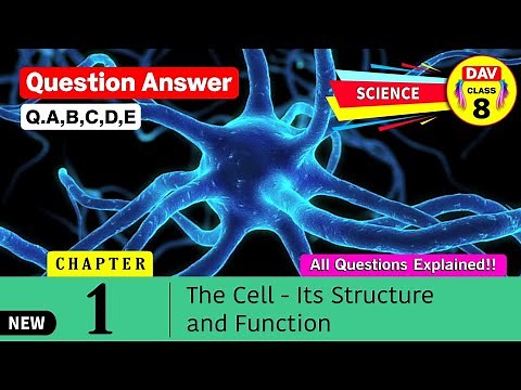 ⚕️The Cell | Dav Class 8 Science Chapter 1 Question Answer Explanation Dav Public School Q.A,B,C,D,E