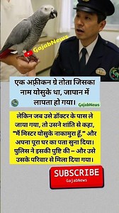 #gajabnews#dancetiktok