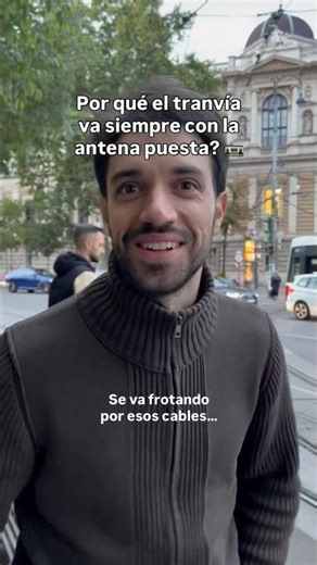 How does a tram work? What are the overhead cables for? What is the function of the track?