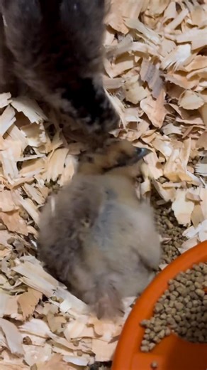 Heather McDonald on Reels