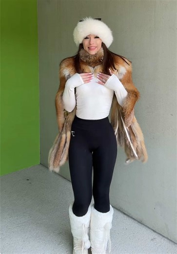 Understanding the Meow Trends in Cat Behavior