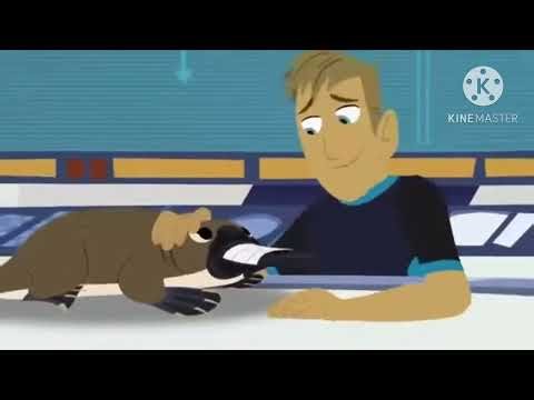 PBS Kids Program Break (2011, WJCT 2)