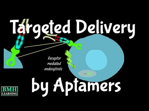 Targeted Delivery Using Aptamers | Aptamera For Drug Delivery | Aptamers In Drug Development |