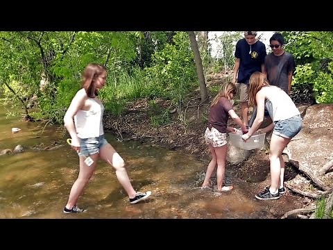 Inquiry-Based Learning in the Science Classroom