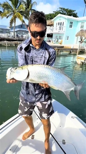 The Fish With Luxury Scales
