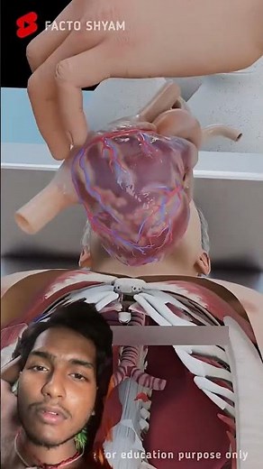 How Are Mummies Made: Explained in 3D Animation #shorts #animation