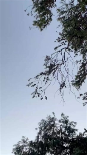 Fiat 128 Supereuropa: Captivating Sunset Moments