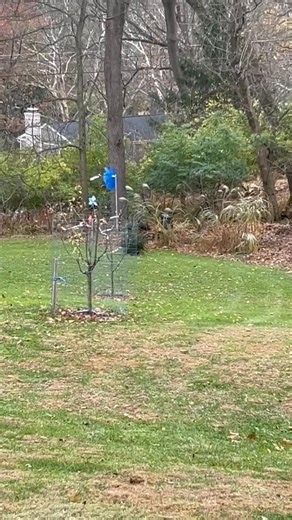 How I equate my Technology Skills | Bob Agentis | Facebook