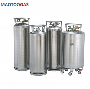 [Hot Item] High-Quality Cryogenic Dewar Cylinders 80L, 175L, 450L, 499L for Liquefied Gases