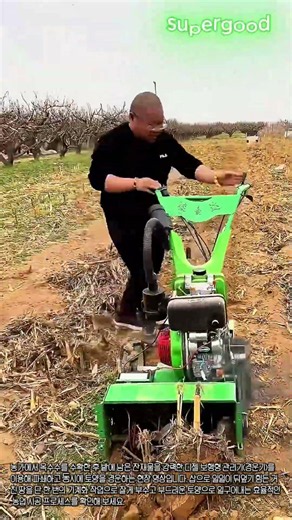 디젤 보행 관리기를 활용한 옥수수밭 잔재물 파쇄 및 경운 공정 #worker #process #farming #agriculture #cultivator
