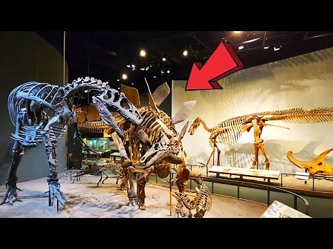 Museum of Nature & Science Denver Colorado Full Tour