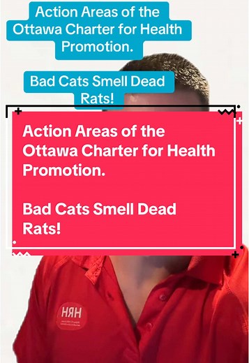 Understanding the Ottawa Charter for Health Promotion