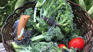 220 reactions · 103 shares | Do you believe you need a large garden...