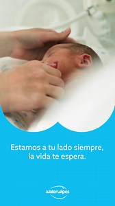 73 reactions | The world’s purest wipes for sensitive skin 冀 | WaterWipes | Facebook