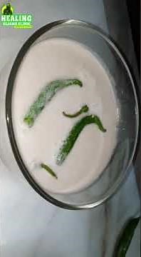 MAKE COCONUT MILK IN A MINUTE AT HOME | COCONUT YOGURT RECIPE WITHOUT STARTER | DR ASMA #shorts