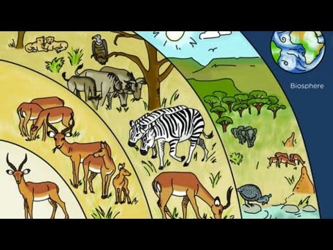 Organisms and Populations For class 12th Chapter 11 Part 1