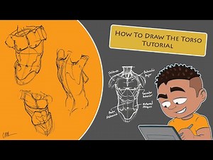 How To Draw The Torso Tutorial | Using Simple Shapes