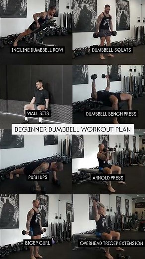 Beginner Dumbbell Workout Plan