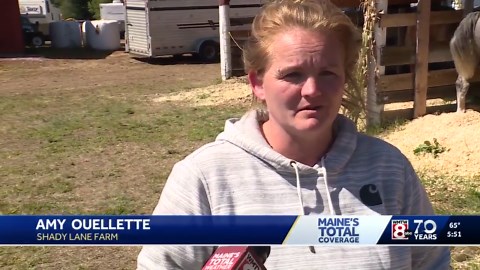 One day left to enjoy 2025 Oxford County Fair | Here's what it has to offer