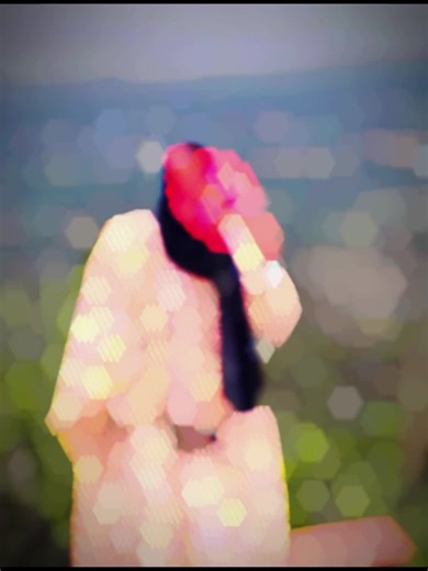 Princess muna on TikTok