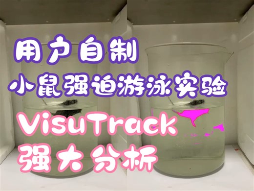 VisuTrack：小鼠强迫游泳实验的精准行为分析利器