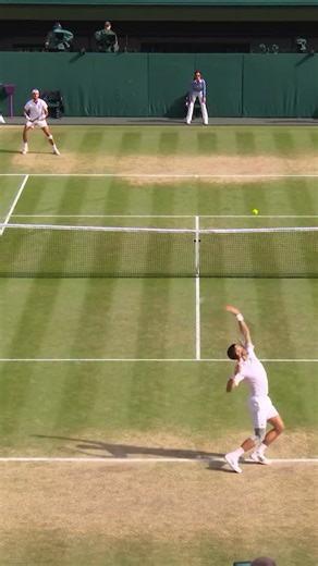 923K views · 14K reactions | The sort of point that wins you 101 career titles ✨ | Wimbledon | Facebook