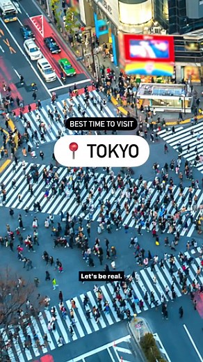 BEST TIME TO VISIT TOKYO 🇯🇵 Whether you’re hoping to catch Japan’s capital at its most ✨lively✨ or have cherry blossom season on your bucket list, here’s our guide to the very best times to visit Tokyo.