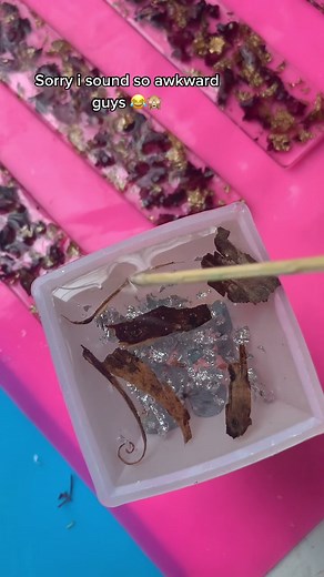 Silver Praying Mantis in Resin | Custom Bug Preservation