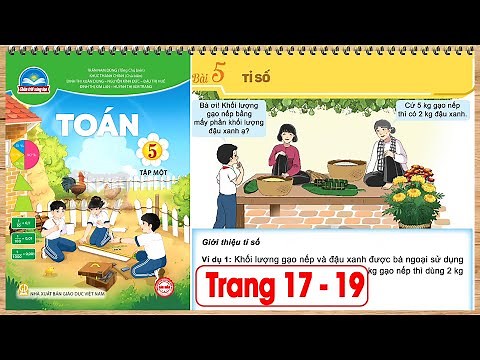 Toán 5 bộ sách chân trời sáng tạo tập 1 trang 17 bài 5 Tỉ số