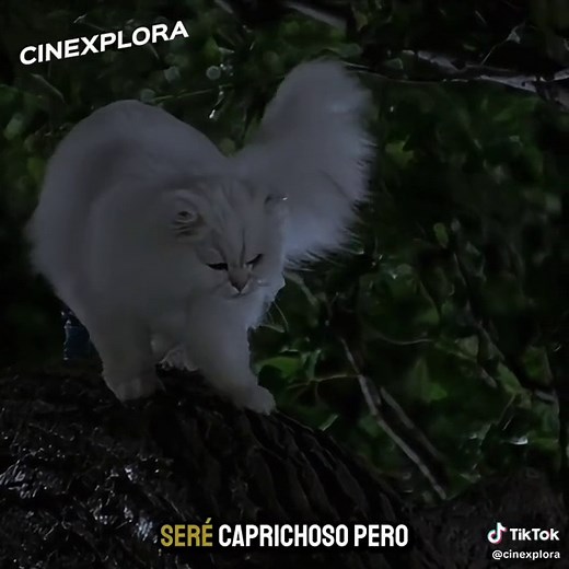 Stuart Little Parte 2: La Aventura Continúa