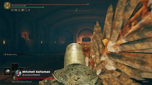 Elden Ring: Shadow of the Erdtree - How to Defeat the Blackgaol Knight Boss Guide