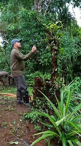 934K views · 14K reactions | Gumawa ako dito ng MINI OVEN sa itaas ng bundok at gumawa din ng basket para lagyan ng lupa | bahay kubo part 48 PART 1 #fypシ゚viralシ #highlightsシ゚ #kapogivlogs #fypシ゚ #lifeinthecountryside #fyp #inthecountryside #bahaykubo #basket | Kapogi Vlogs | Facebook
