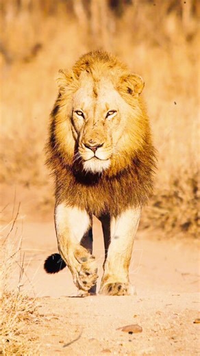 Understanding Self-Respect: Quotes and Insights