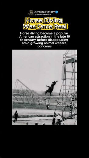 The Forgotten Sport of Horse Diving 🤯 #history #historycomesalive #historytok #historia #viral #fyp