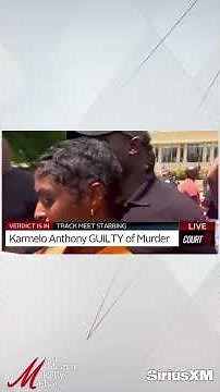 Megyn Reacts to Lawyer Arguing Karmelo Anthony Verdict is Wrong Because He Only Stabbed Metcalf Once