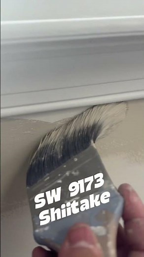 Sherwin Williams 9173 Shiitake. #pintura #paint #colors