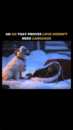 𝐃𝐢𝐠𝐢𝐭𝐚𝐥 𝐌𝐚𝐫𝐤𝐞𝐭𝐢𝐧𝐠 𝐀𝐠𝐞𝐧𝐜𝐲 on Instagram: "Some bonds don’t need words. They’re felt in presence, loyalty, and quiet understanding. This ad reminds us that love isn’t always spoken sometimes it’s shown through small acts, silent companionship, and unwavering trust. : The connection between humans and animals is one of the purest forms of love, because it exists without conditions or explanations. : No dialogue. No persuasion. Just emotion that speaks for itself. love beyond wo