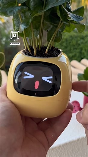 209K views · 798 reactions | I may actually be able to keep a plant alive with this device! 華 | UNILAD | Facebook
