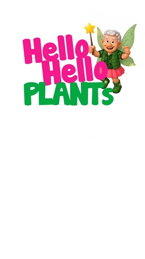 ✨🌼 Chris is out the front of our store showing off the beautiful African Eyes Daisy – bursting with fresh white blooms and perfect for adding a cheerful splash of colour to your garden this Spring. 🌿💛 We’re open all long weekend, so come down and grab yours while they’re looking their best! 👉 SHOP NOW: https://www.thetutuguru.com.au/shop/rhodanthemum-white-african-eyes-6-pot/ #AfricanEyesDaisy #HelloHelloPlants #SpringGarden #FlowerPower #GardenGoals #PlantLovers #GardenInspiration #OpenAllW