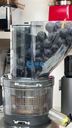 Commercial slow juicer/cold pressed juicer,large feed chute,high efficiency #juice #slowjuicer #coldpressedjuice #juicemachine #juicer